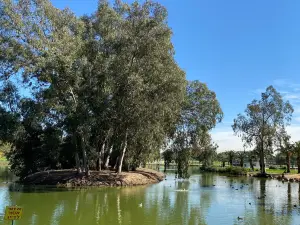 Ramat Gan National Park