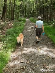 Pisgah State Park