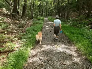 Pisgah State Park