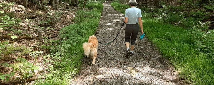 Pisgah State Park