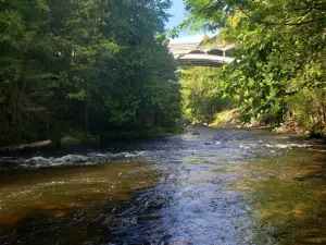 Agate Falls Scenic Site