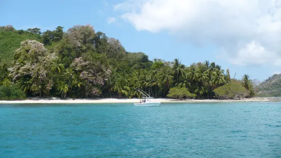 Pesca Panama