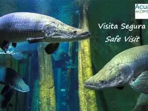 Aquarium River of Zaragoza