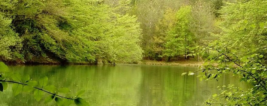 Lac De Lupiac