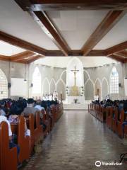 Our Lady Mediatrix of All Grace Cathedral