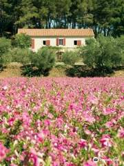 Moulin du Calanquet