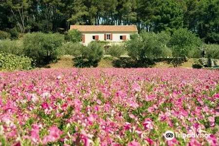 Moulin du Calanquet