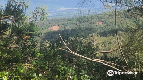 ʻAiea Loop Trailhead