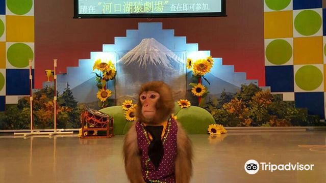 Lake Kawaguchi Monkey Showman Theater