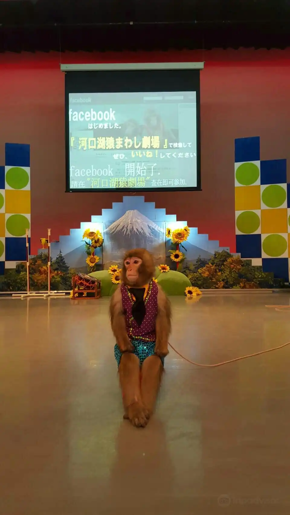 Hotel in zona Lake Kawaguchi Monkey Showman Theater