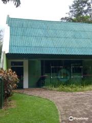 Museu de História Natural de Cascavel