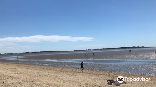 Plage d'Aytre