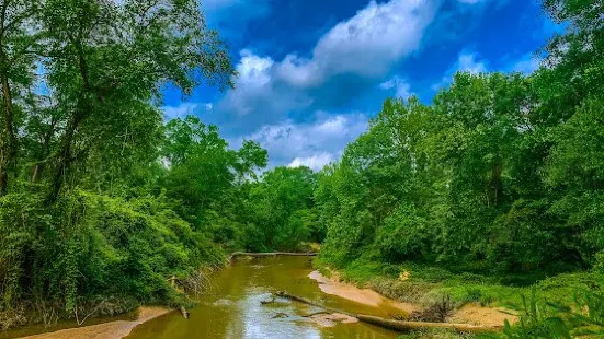 George Mitchell Nature Preserve