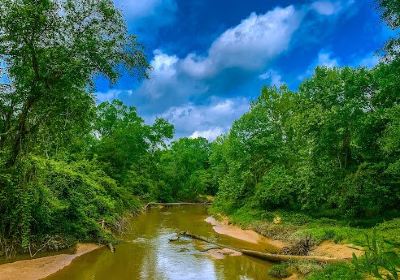 George Mitchell Nature Preserve