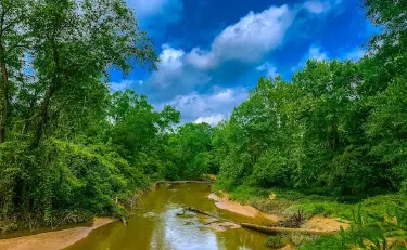 George Mitchell Preserve