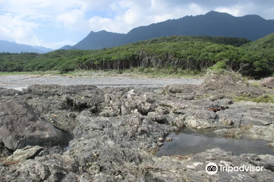 Tashiro Coast