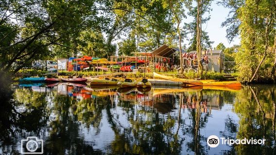 Crystal River Kayak Company and Dive Center