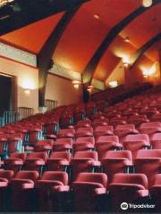 Birr Theatre & Arts Centre