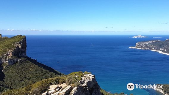 Cassis