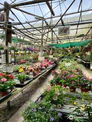 Healthy Strawberry Farm, Brinchang, Pahang.