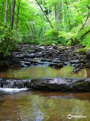 Falls of Hills Creek