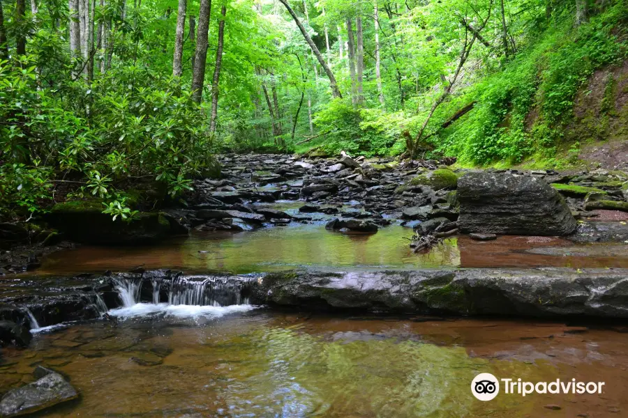 Falls of Hills Creek