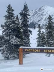 Carcross Desert