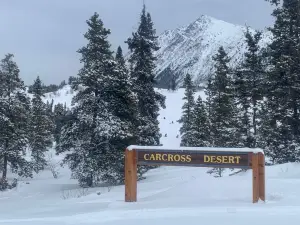 Deserto di Carcross