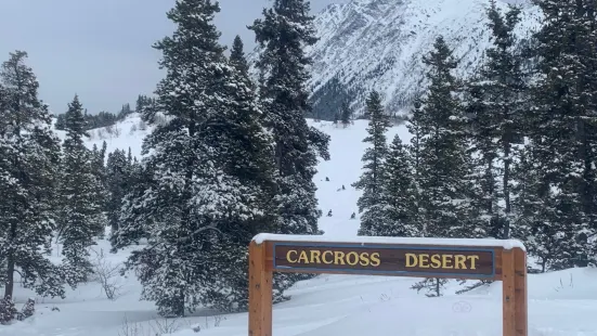 Carcross Desert