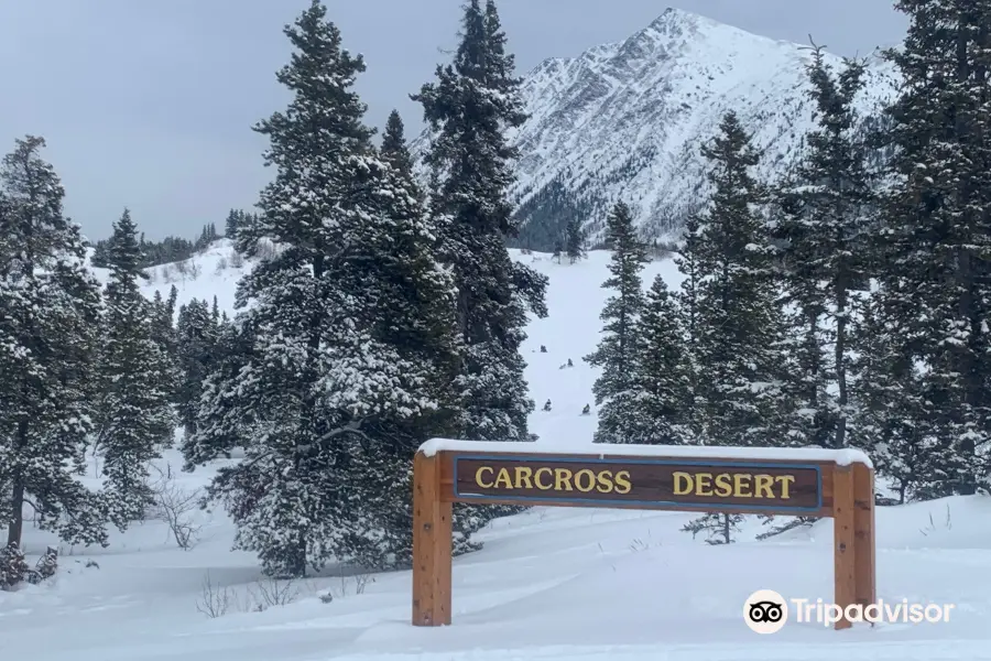 Carcross Desert