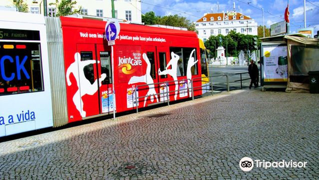 Lisbon Tram & Funicular Network