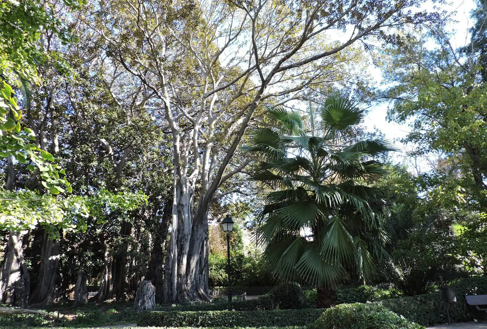 Hotels near Jardin de Ayora