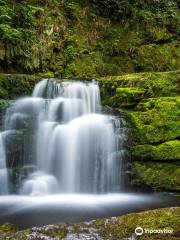 McLean Falls