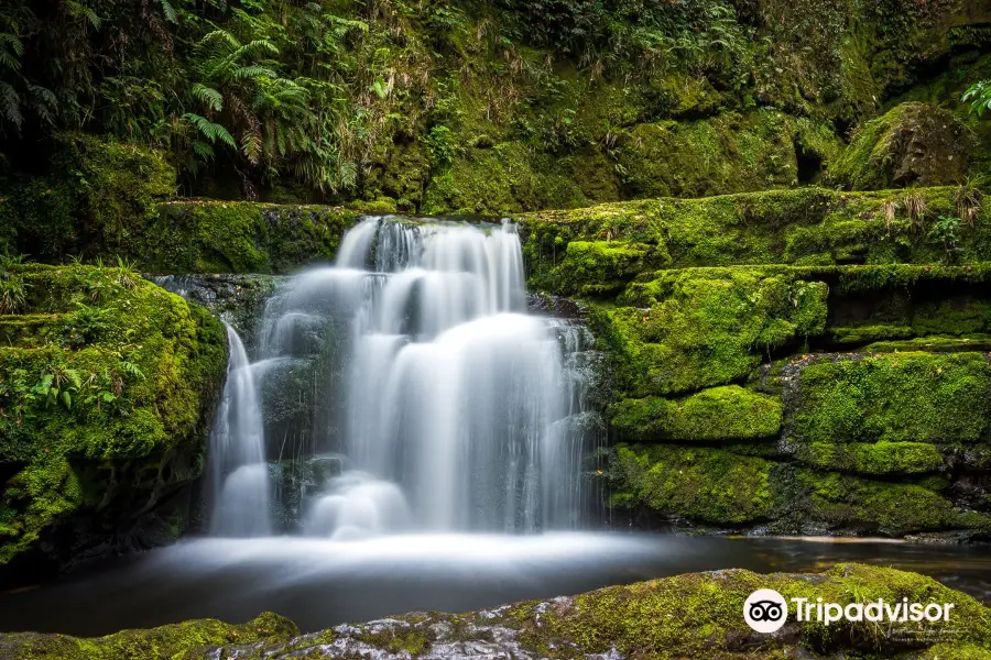 McLean Falls