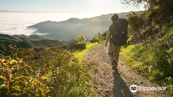 Wrigley Memorial & Botanic Garden
