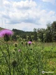 Soldiers Delight Natural Environment Area