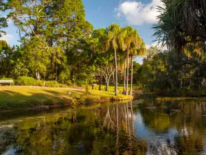 Hervey Bay Botanic Gardens