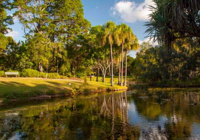 Hervey Bay Botanic Gardens