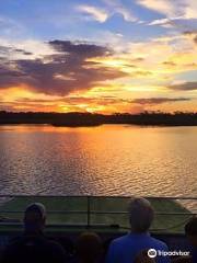 Wild Thang Airboat Tours