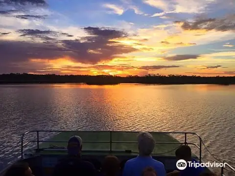 Wild Thang Airboat Tours