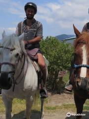 Leghorn Ranch Horseback Trail Rides