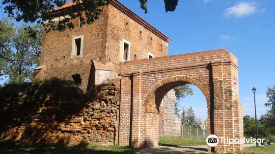 Gołańcz Castle