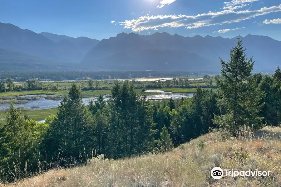 Columbia Wetlands Viewpoint Trail