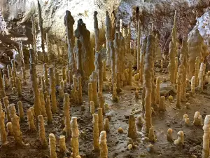 Grotte de l'Ours