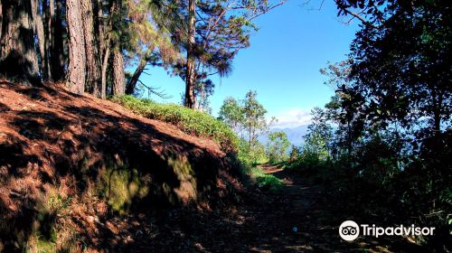 Thangamale Bird Sanctuary