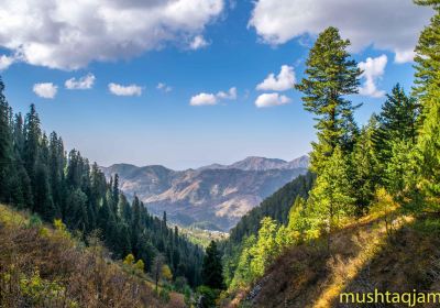 Abbottabad Tehsil