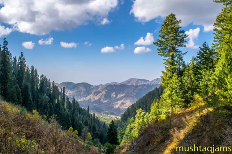 Hotels in Abbottabad Tehsil