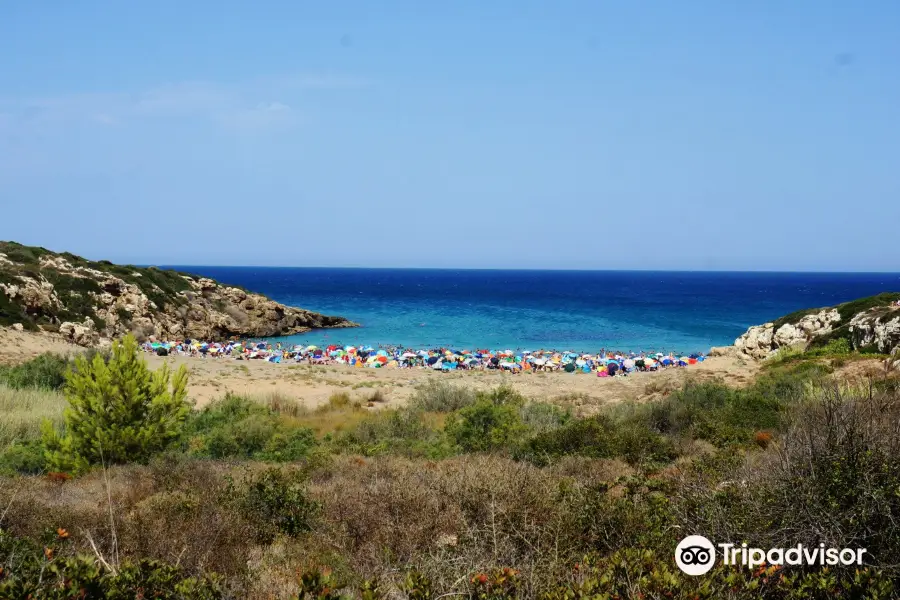 Spiaggia Calamosche