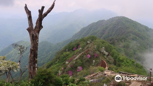 Mt. Aogatake (Hinokiboramaru)