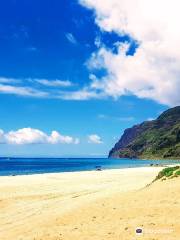 Polihale State Park